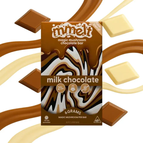 mushroom chocolates